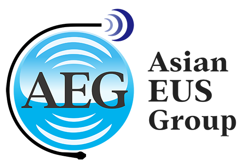 AEG Logo